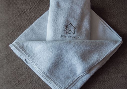 Domy 8-11 osób z jacuzzi i sauną