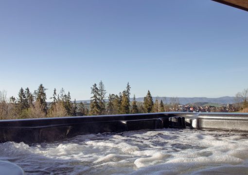 Domy 8-11 osób z jacuzzi i sauną