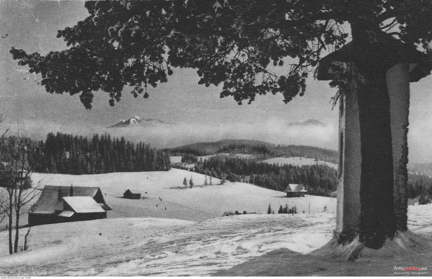 Bukowina_Tatrzanska_Panoramy_Bukowiny_Tatrzanskiej (1)