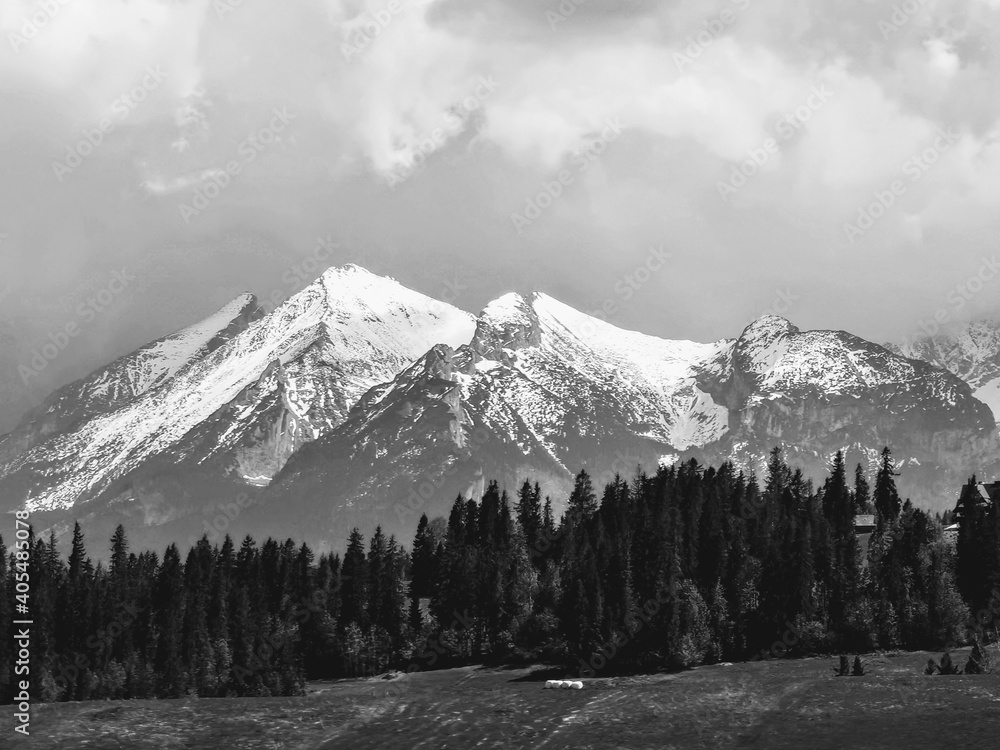 AdobeStock_405485078_Preview