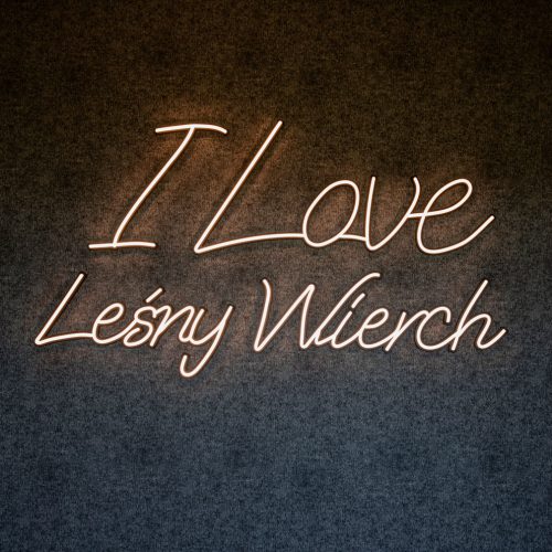 Domy 8-11 osób z jacuzzi i sauną