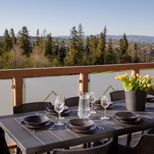 Domy 8-11 osób z jacuzzi i sauną