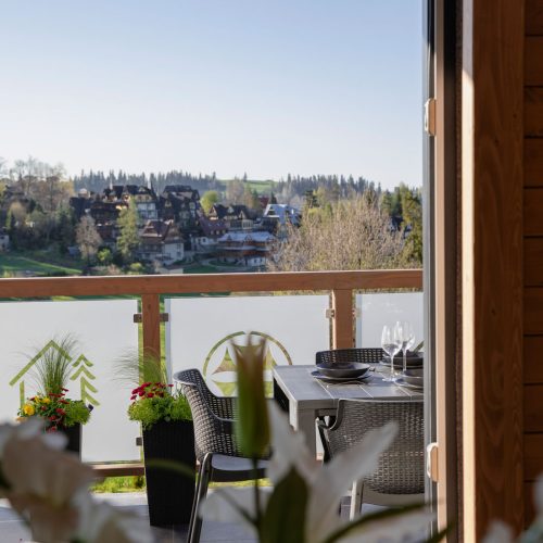 Domy 8-11 osób z jacuzzi i sauną